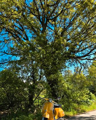 piaggio vespa 3 marce 50 