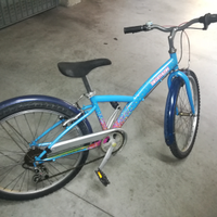 Bici mtb