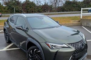 UX 2019 250h Executive Full Hybrid