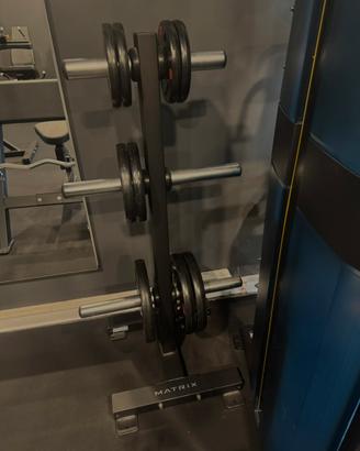 Rastrelliera Porta Dischi Olimpionici Matrix