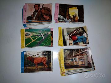 SCHEDE CORRIERINO DEI PICCOLI