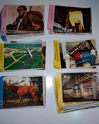 SCHEDE CORRIERINO DEI PICCOLI