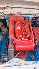Motore Iveco Aifo