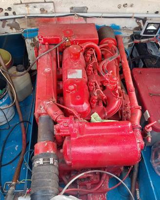 Motore Iveco Aifo