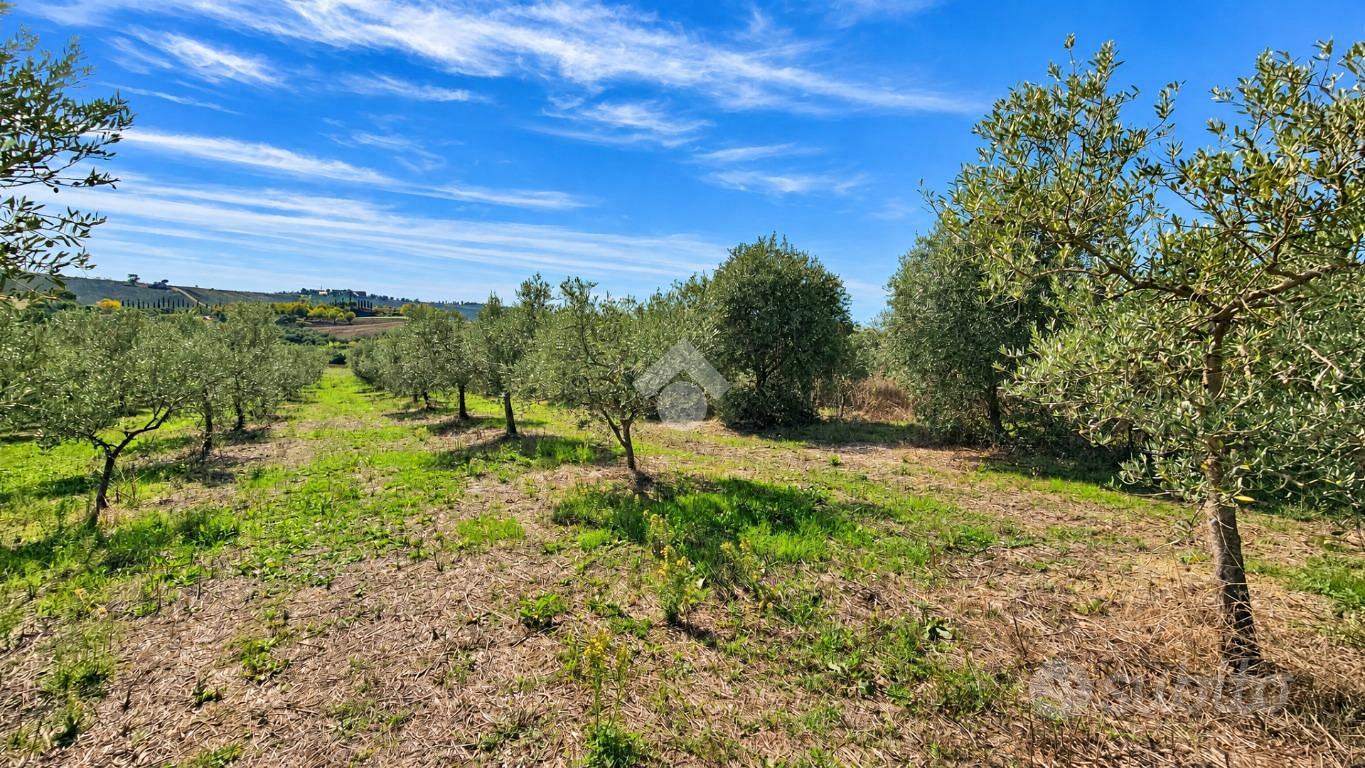TER. AGRICOLO A SAN GIOVANNI IN MARIGNANO - Vista 4