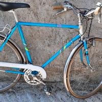 Bicicletta Uomo Trekin