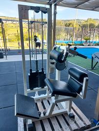 lower back technogym lux silver 