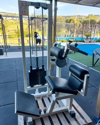 lower back technogym lux silver 