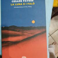 libri 