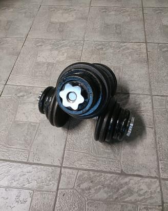 manubri decathlon 
