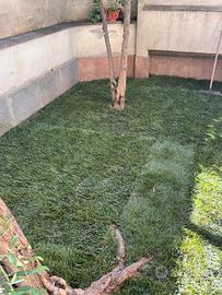 16 rotoli prato  160x40  10 mq