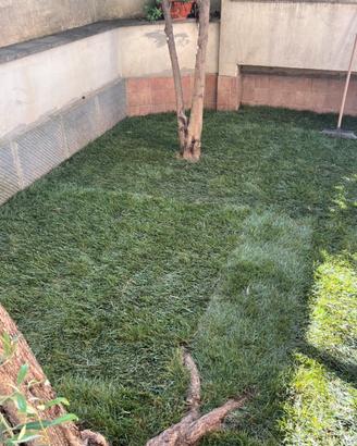 16 rotoli prato  160x40  10 mq