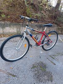 bici x ragazzo mountan bike