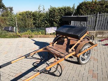 Calesse da domani per cavalli