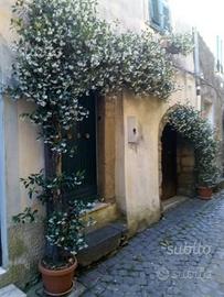 Lago di Bolsena casa al centro storico su 2 piani