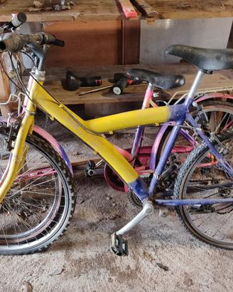 Bicicletta 