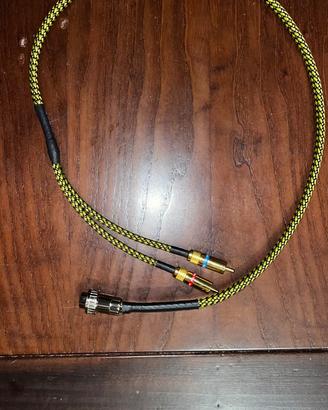 Cavo rca/DIN NAIM 5 poli della Van Den Hul da 1 ml