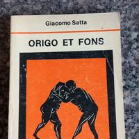 Origo Et Fons Satta 1982 Esercizi E Temi Di Latino
