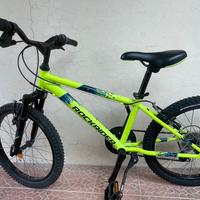 Mtb bambino
