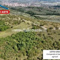 Tribunale di Salerno - RG 33/2024 Terreno in asta