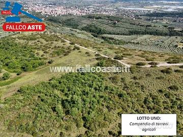 Tribunale di Salerno - RG 33/2024 Terreno in asta