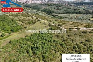Tribunale di Salerno - RG 33/2024 Terreno in asta
