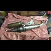 Top nardó minarelli