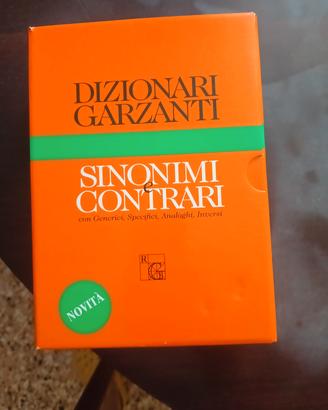 dizionario 