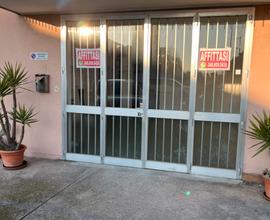 Magazzino/Laboratorio/Ufficio