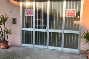 Magazzino/Laboratorio/Ufficio