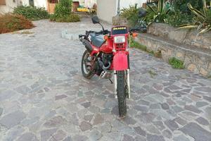 Honda XL 600 - 1985 - ASI