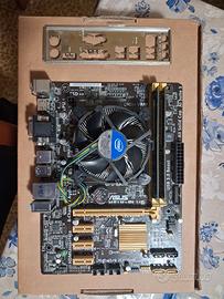Scheda Madre ASUS H81M Plus socket 1150+CPU i5+RAM