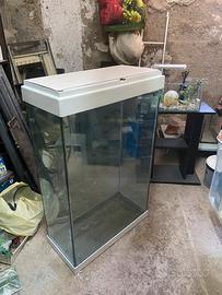 Acquario terrario