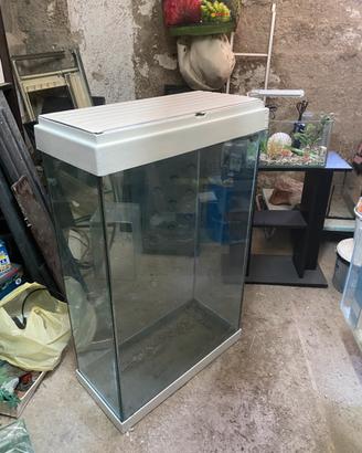 Acquario terrario