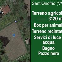 Terreno agricolo 3.120 mq a Sant'Onofrio (VV)