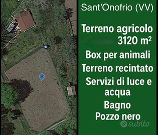 Terreno agricolo 3.120 mq a Sant'Onofrio (VV)