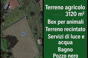 Terreno agricolo 3.120 mq a Sant'Onofrio (VV)