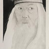 Albus Silente Harry Potter