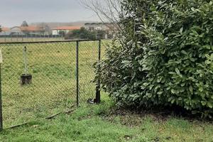 Capannone + eventuale area edificabile +eventuale