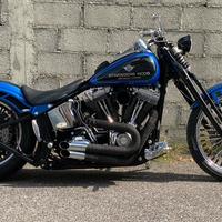 Harley Davidson Softail Custom SPECIAL