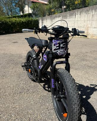 Bici stile Moto