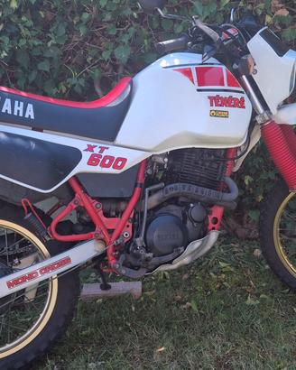 Xt 600 z  34L