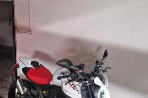 ducati monster 937 plus
