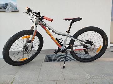 Scott scale 24