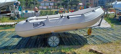 Barca Whaly 310