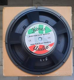 Woofer 25 cm 4 ohm nuovi in coppia