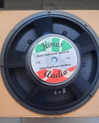 Woofer 25 cm 4 ohm nuovi in coppia