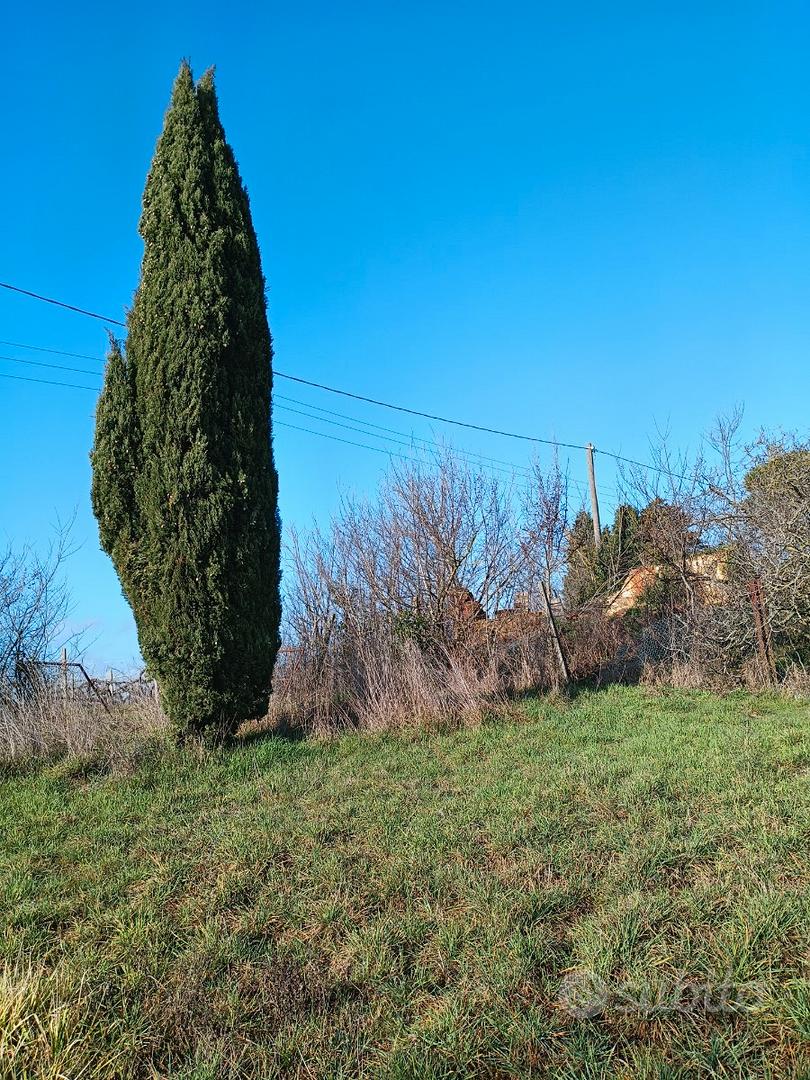 Rustico da ricostruire - Vista 2