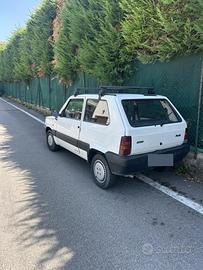 Panda del 2001 young