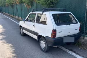 Panda del 2001 young